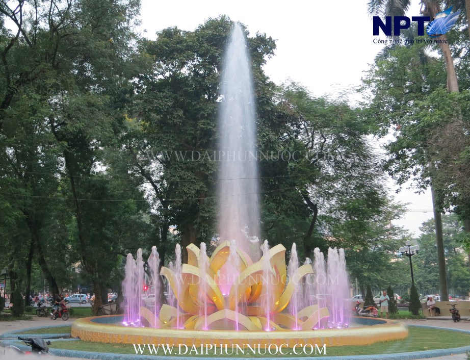 Cột nước trung tâm cao vút và vòng sủi bọt quanh cánh sen vàng